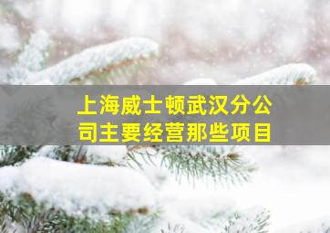 上海威士顿武汉分公司主要经营那些项目