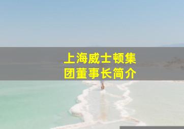 上海威士顿集团董事长简介