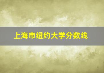 上海市纽约大学分数线