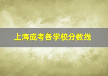 上海成考各学校分数线