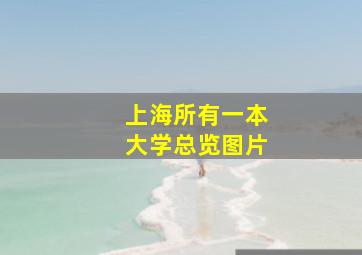 上海所有一本大学总览图片