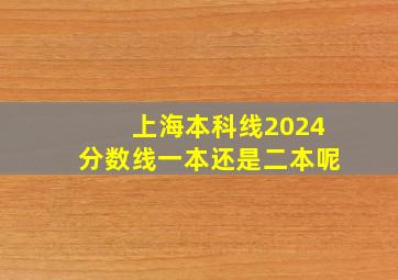 上海本科线2024分数线一本还是二本呢