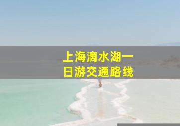 上海滴水湖一日游交通路线