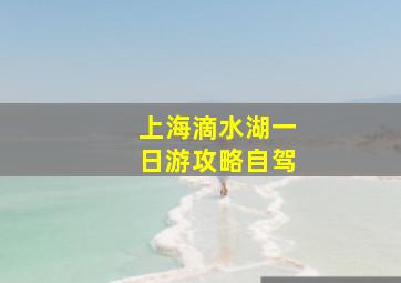 上海滴水湖一日游攻略自驾