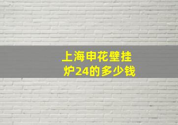 上海申花壁挂炉24的多少钱