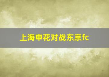 上海申花对战东京fc