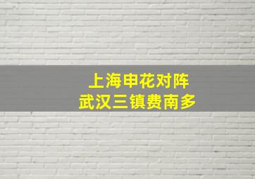 上海申花对阵武汉三镇费南多