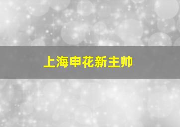 上海申花新主帅