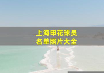 上海申花球员名单照片大全