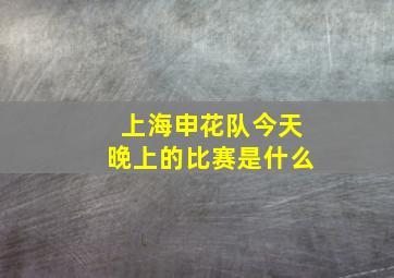 上海申花队今天晚上的比赛是什么