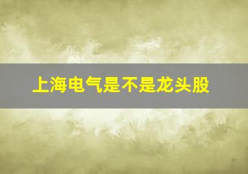 上海电气是不是龙头股