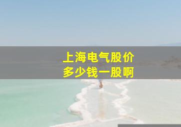 上海电气股价多少钱一股啊