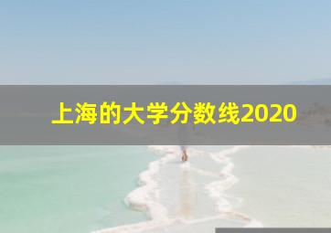 上海的大学分数线2020