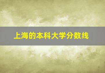 上海的本科大学分数线