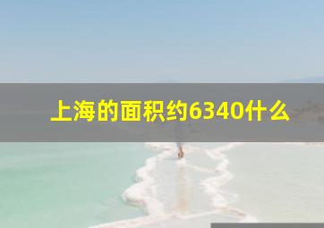 上海的面积约6340什么