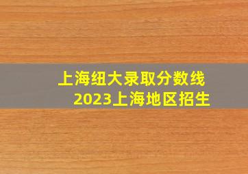 上海纽大录取分数线2023上海地区招生