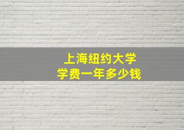 上海纽约大学学费一年多少钱