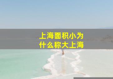 上海面积小为什么称大上海