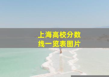 上海高校分数线一览表图片