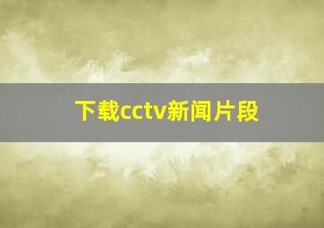 下载cctv新闻片段