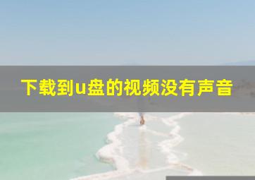 下载到u盘的视频没有声音