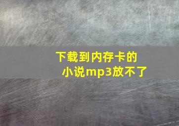 下载到内存卡的小说mp3放不了