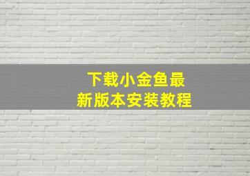 下载小金鱼最新版本安装教程