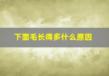 下面毛长得多什么原因