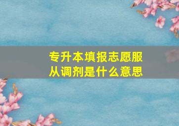 专升本填报志愿服从调剂是什么意思