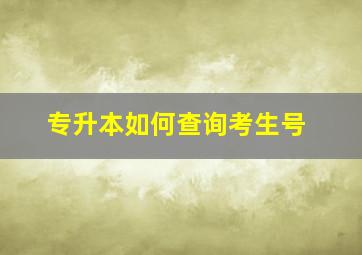 专升本如何查询考生号