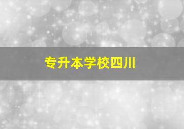 专升本学校四川