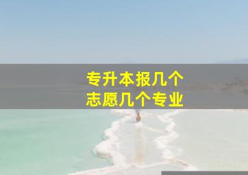 专升本报几个志愿几个专业