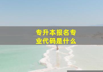 专升本报名专业代码是什么