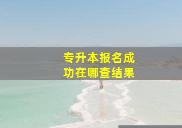 专升本报名成功在哪查结果