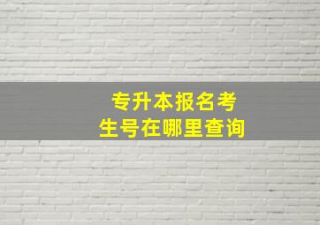 专升本报名考生号在哪里查询