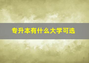 专升本有什么大学可选