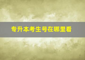 专升本考生号在哪里看