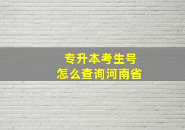 专升本考生号怎么查询河南省