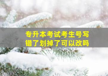 专升本考试考生号写错了划掉了可以改吗