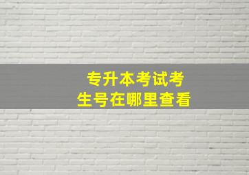 专升本考试考生号在哪里查看