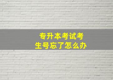 专升本考试考生号忘了怎么办