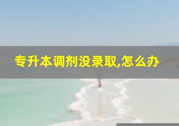 专升本调剂没录取,怎么办