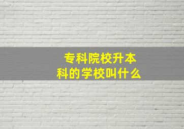 专科院校升本科的学校叫什么