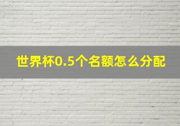 世界杯0.5个名额怎么分配