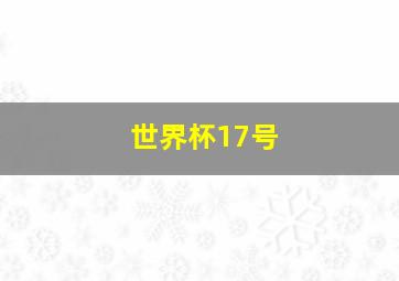 世界杯17号