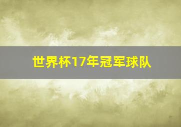 世界杯17年冠军球队