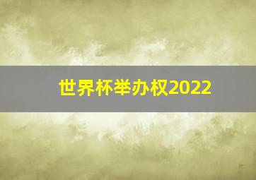 世界杯举办权2022