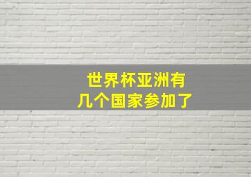 世界杯亚洲有几个国家参加了