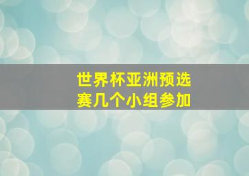 世界杯亚洲预选赛几个小组参加