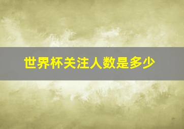 世界杯关注人数是多少